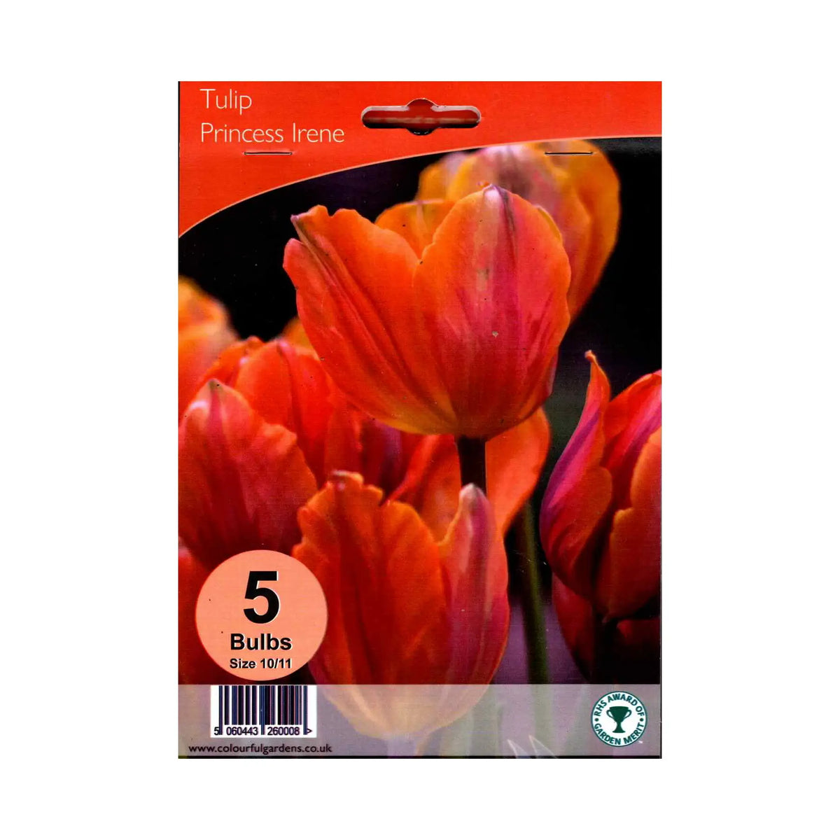 Tulipa ‘Princess Irene’ - Hardy's Cottage Garden Plants