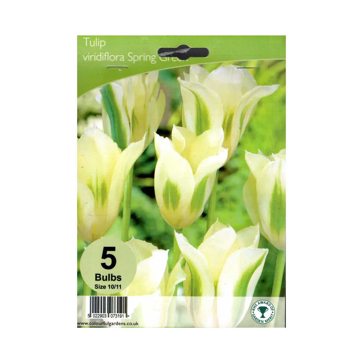 Tulipa 'Spring Green' - Hardy's Cottage Garden Plants