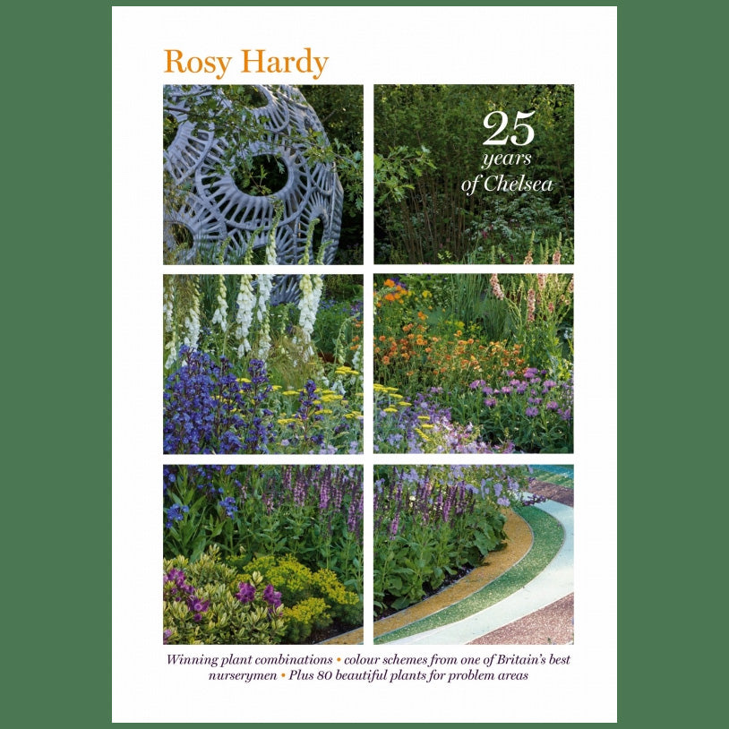 Rosy Hardy '25 Years of Chelsea' - Hardy's Cottage Garden Plants