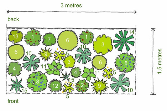 Plan of Rosy's Shady Border