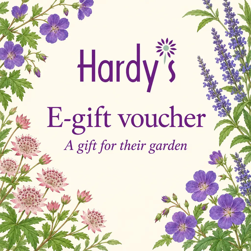 Hardy's Cottage Garden Plants Online Gift Voucher - Hardy's Cottage Garden Plants